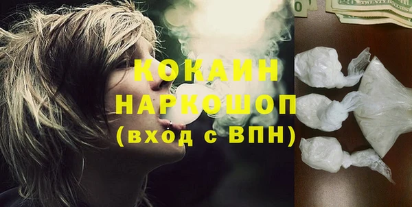 прущие грибы Абинск