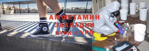 прущие грибы Абинск