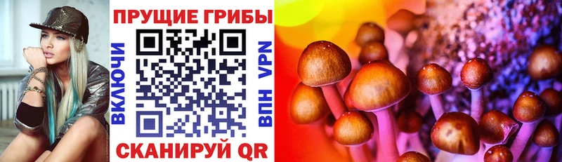 Псилоцибиновые грибы ЛСД  наркота  Плавск 